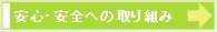 SESւ̎g